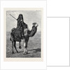 Egypt: A Travelling Bedouin by Anonymous
