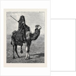 Egypt: A Travelling Bedouin by Anonymous