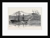 A Disaster at Sea: The S.S. Palmyra Towing the Derelict Barque Norton Towards Falmouth by Anonymous