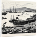 The Duke of Edinburgh in the Shetland Islands: Lerwick Harbour by Anonymous