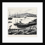 The Duke of Edinburgh in the Shetland Islands: Lerwick Harbour by Anonymous