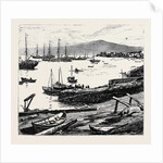 The Duke of Edinburgh in the Shetland Islands: Lerwick Harbour by Anonymous