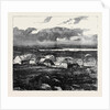 The Duke of Edinburgh in the Shetland Islands: Upper Sound, Lerwick by Anonymous