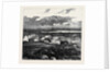 The Duke of Edinburgh in the Shetland Islands: Upper Sound, Lerwick by Anonymous