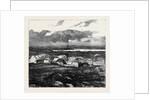 The Duke of Edinburgh in the Shetland Islands: Upper Sound, Lerwick by Anonymous