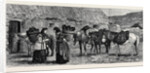 The Duke of Edinburgh in the Shetland Islands: Shetland Ponies by Anonymous