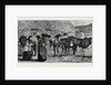 The Duke of Edinburgh in the Shetland Islands: Shetland Ponies by Anonymous