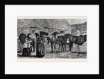 The Duke of Edinburgh in the Shetland Islands: Shetland Ponies by Anonymous