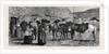 The Duke of Edinburgh in the Shetland Islands: Shetland Ponies by Anonymous
