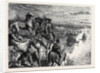 In the Great North-West with the Marquis of Lorne, Blackfoot Crossing by Anonymous