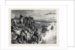 In the Great North-West with the Marquis of Lorne, Blackfoot Crossing by Anonymous