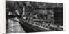 Collision of the S.S. Constancia and Primus in Dock at Newport by Anonymous