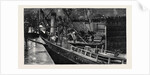 Collision of the S.S. Constancia and Primus in Dock at Newport by Anonymous