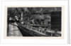 Collision of the S.S. Constancia and Primus in Dock at Newport by Anonymous