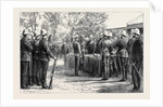 The Late Zulu War: Distribution of Medals to the Fifty-Eighth Regiment and the Natal Troops at Maritzburg by Sir Evelyn Wood by Anonymous