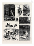 Round the Yule Log: Norwegian Folk and Fairy Tales by Anonymous