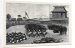 The Young Princes on Their Cruise: A Native War-Dance at Nassova, Fiji by Anonymous