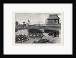The Young Princes on Their Cruise: A Native War-Dance at Nassova, Fiji by Anonymous