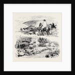A Deer Hunt on Exmoor by Anonymous