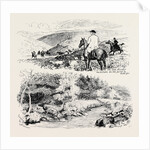 A Deer Hunt on Exmoor by Anonymous
