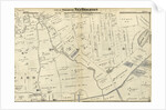 Section 7. Staten Island, 1874, New York by Anonymous