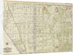 Bounded by Albany Avenue, Atlantic Avenue, Buffalo Avenue and East New York Avenue, New York by Anonymous