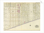 Bounded by Pitkin Avenue, Berriman Street, New Lots Avenue and Williams Avenue, New York by Anonymous