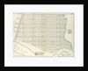Map No. 419 Bounded by 138th Street, Mill Brook, 131st Street, Morris Avenue, 130th Street, Harlem River High Water Line and Third Avenue, New York by Anonymous