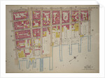 Bounded by Columbia Street, Avenue D, E. 8th Street, Lewis Street, E. 4th Street, East River Piers Tompkins Street and Stanton Street, New York by Anonymous