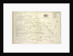 Map bound by Decatur St., Broadway, Ruxton St., Rockaway Ave., Herkimer St., Saratoga Ave; Including Bainbridge St., Chauncey St., Marion St., Sumpter St., Mc Dougall St., Hull St., Somers St., Fulton St., Hopkinson Ave., Stone Ave., New York by Anonymous
