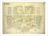 Map bounded by William Street, Beekman Street, Gold Street, Ferry Street, Cliff Street, Pearl Street, Platt Street; Including Riders Alley, Cliff Street, John Street, Fulton Street, New York by Anonymous