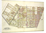 Map bounded by Palmetto St., Prospect Ave., Ivy St., Forest Ave., Ptnan Ave., Woodard Ave., Madison St., Myrtle Ave., New York by Anonymous
