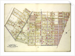 Map bounded by Palmetto St., Prospect Ave., Ivy St., Forest Ave., Ptnan Ave., Woodard Ave., Madison St., Myrtle Ave., New York by Anonymous