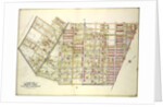 Map bounded by Palmetto St., Prospect Ave., Ivy St., Forest Ave., Ptnan Ave., Woodard Ave., Madison St., Myrtle Ave., New York by Anonymous