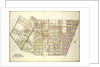 Map bounded by Palmetto St., Prospect Ave., Ivy St., Forest Ave., Ptnan Ave., Woodard Ave., Madison St., Myrtle Ave., New York by Anonymous