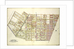 Map bounded by Palmetto St., Prospect Ave., Ivy St., Forest Ave., Ptnan Ave., Woodard Ave., Madison St., Myrtle Ave., New York by Anonymous