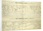 Map of the lands included in the Central Park, from a topographical survey, June 17th, 1856; Also: Plan for the improvement of the Central Park, adopted by the Commissioners, June 3rd, 1856, New York by Anonymous