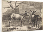 Two donkeys in a manger by Nicolaes Pietersz. Berchem