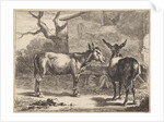 Two donkeys in a manger by Nicolaes Pietersz. Berchem