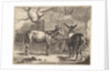 Two donkeys in a manger by Nicolaes Pietersz. Berchem