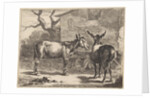 Two donkeys in a manger by Nicolaes Pietersz. Berchem