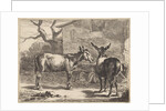 Two donkeys in a manger by Nicolaes Pietersz. Berchem