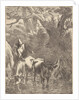 Shepherd drives two oxen by a stream by Nicolaes Pietersz. Berchem