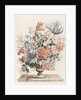 Stone vase with flowers on a platter by Johan Teyler