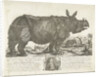 The rhinocerus Clara, 1741 by Johann Georg Schmidt