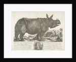 The rhinocerus Clara, 1741 by Johann Georg Schmidt