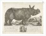 The rhinocerus Clara, 1741 by Johann Georg Schmidt