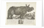 The rhinocerus Clara, 1741 by Johann Georg Schmidt