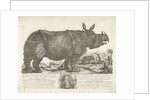 The rhinocerus Clara, 1741 by Johann Georg Schmidt