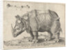 The Rhinoceros, Enea Vico by Albrecht Dürer